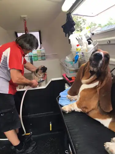 Jim's Dog Wash Rothwell - Pet Groomer in Murrumba Downs