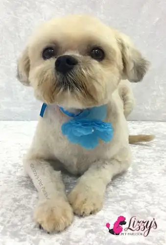 Lizzy's Pet Parlour - Pet Groomer in Svensson Heights