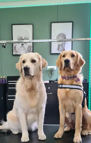 MuddPuppy's Grooming Salon - Pet Groomer in Barrack Heights