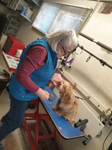 Muttz Kuttz - Pet Groomer in Coniston