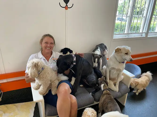 My Dogs Daycare - Pet Groomer in Wilston