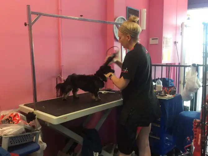 Oh La La Pet Grooming Parlour - Pet Groomer in Jannali