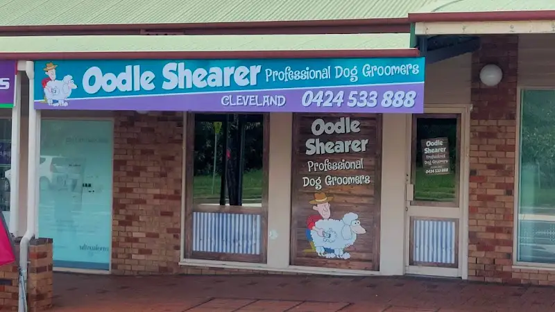 Oodle Shearer (Hairy Barkers) - Pet Groomer in Cleveland
