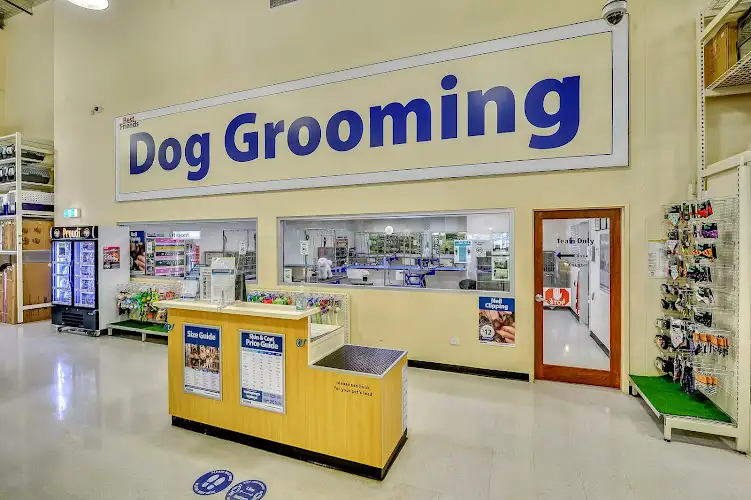Our Salon Erina - Pet Groomer in Erina