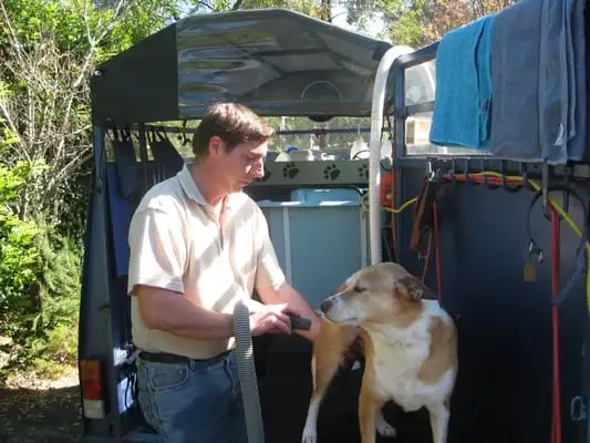 Paddy Paws Mobile Dog Grooming - Pet Groomer in Ten Mile Hollow