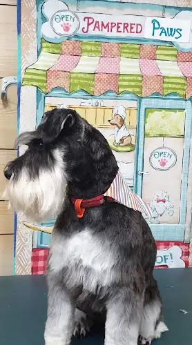 Pampered Paws Grooming - Pet Groomer in Echuca