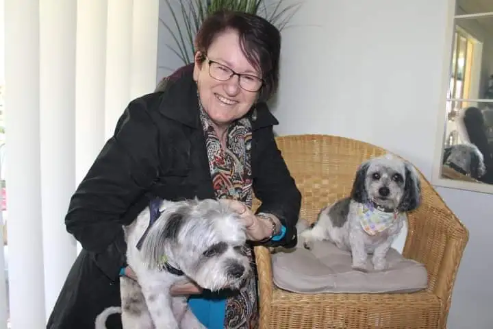 Pampered Paws - Pet Groomer in Highfields