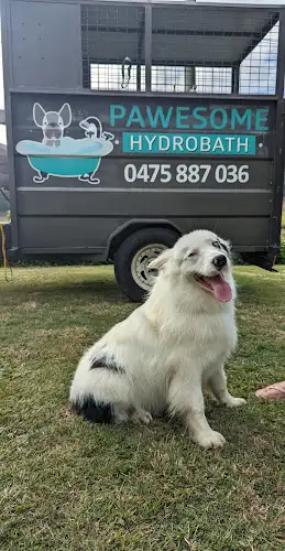 Pawesome Hydrobath - Pet Groomer in Eimeo
