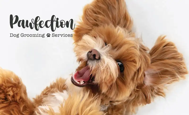 Pawfection Dog Grooming Service - Pet Groomer in Wetherill Park