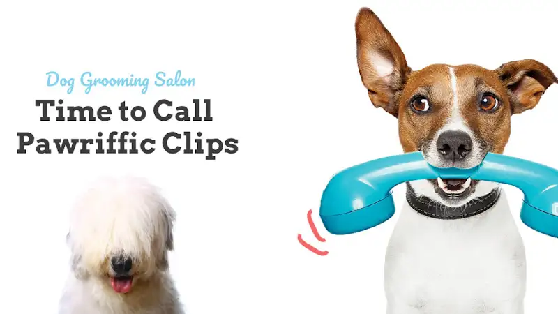Pawriffic Clips - Pet Groomer in Eight Mile Plains