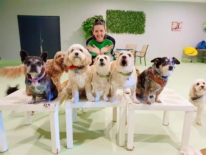 Paws & Relax - Pet Groomer in Eagle Farm
