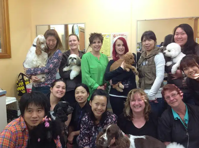 Pet Design Dog And Cat Grooming - Pet Groomer in Epping