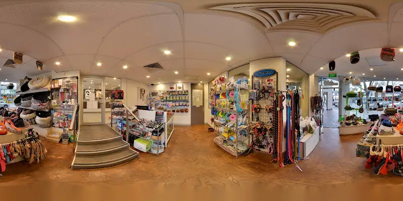 Pets In The City - Pet Groomer in Neutral Bay