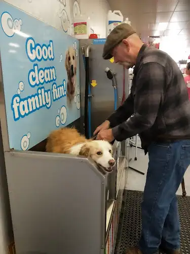 PETstock Albury - Pet Groomer in Lavington