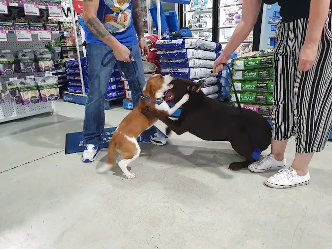 PETstock Ballina - Pet Groomer in Ballina