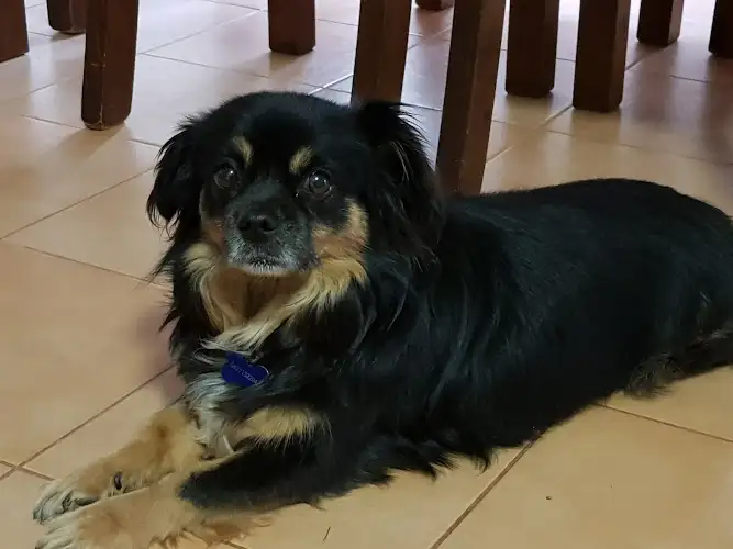 PETstock Berrimah - Pet Groomer in Berrimah