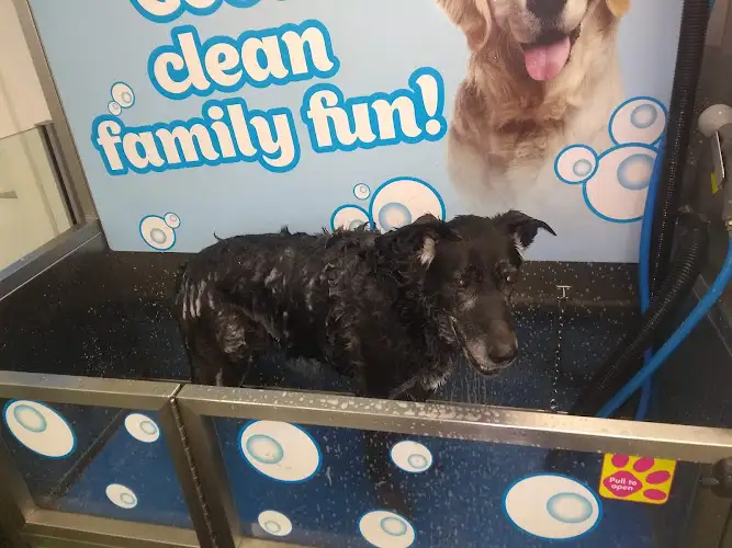 PETstock Engadine - Pet Groomer in Engadine