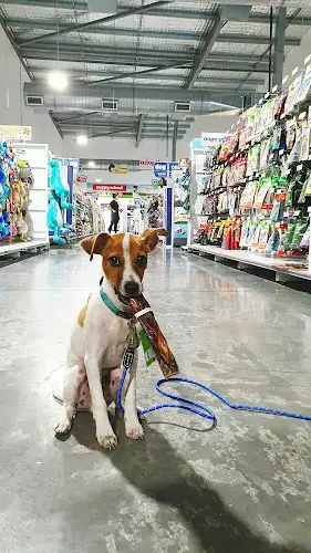 PETstock Gregory Hills - Pet Groomer in Gregory Hills
