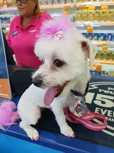 PETstock Gympie - Pet Groomer in Monkland