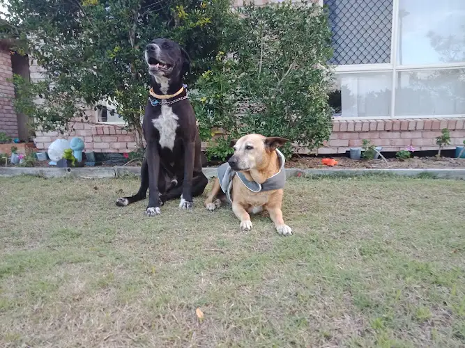 PETstock Hervey Bay - Pet Groomer in Pialba