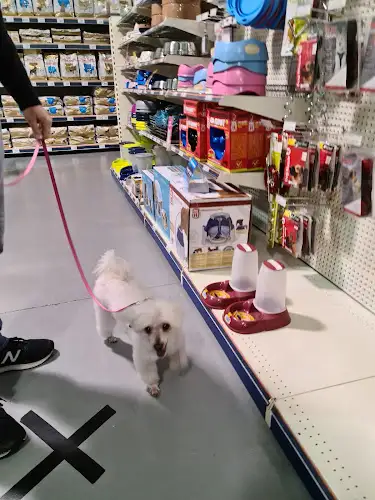 PETstock Indooroopilly - Pet Groomer in Indooroopilly