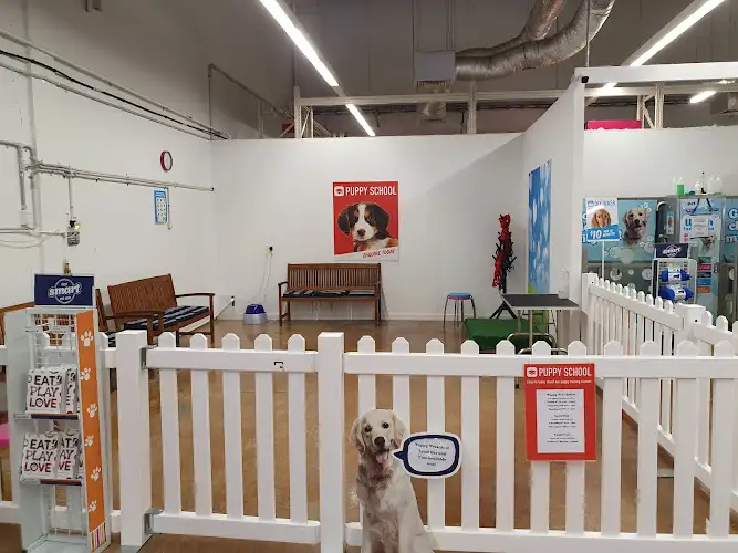 PETstock Kawana Waters - Pet Groomer in Birtinya