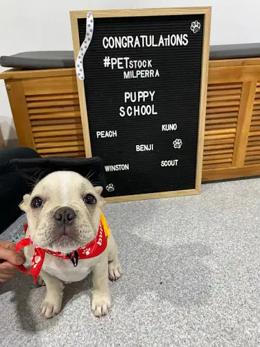 PETstock Milperra - Pet Groomer in Milperra