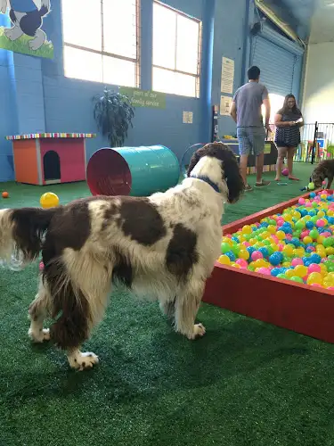 PETstock Pakenham - Pet Groomer in Pakenham