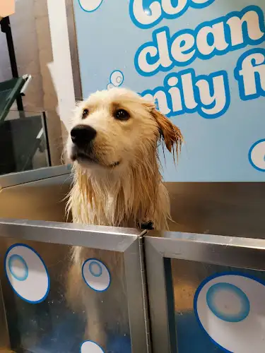 PETstock South Melbourne - Pet Groomer in South Melbourne