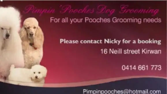 Pimpin' Pooches - Pet Groomer in Kirwan