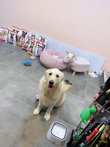 Puppcorn Potts Point - Pet Groomer in Potts Point