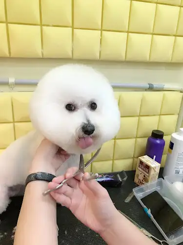 Puppuccino Pet Spa Forestville - Pet Groomer in Forestville