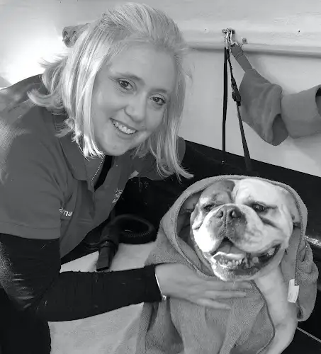 Puppy Love Dog Wash & Grooming - Pet Groomer in Jamisontown