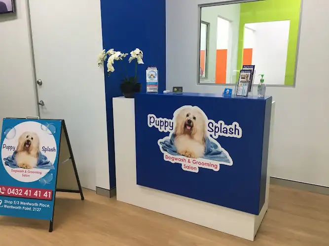 Puppy Splash Dog Wash & Grooming Salon - Pet Groomer in Wentworth Point