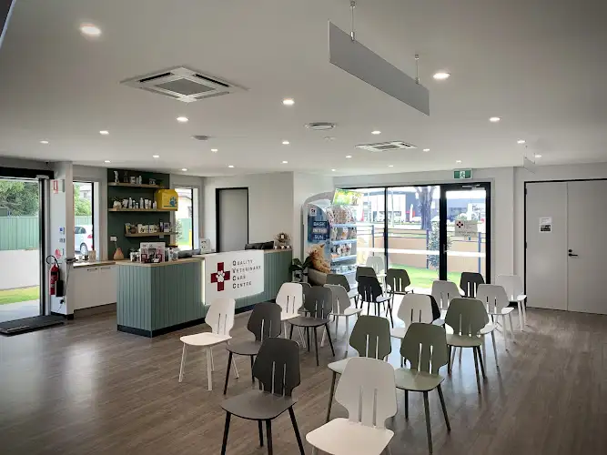 Quality Veterinary Care Centre Yeppoon - Pet Groomer in Yeppoon