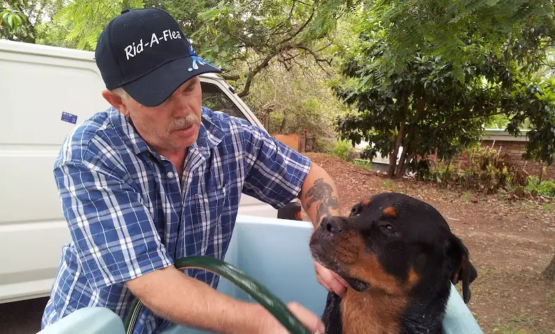 RID - A - FLEA Mobile Dog Wash - Pet Groomer in Cornubia