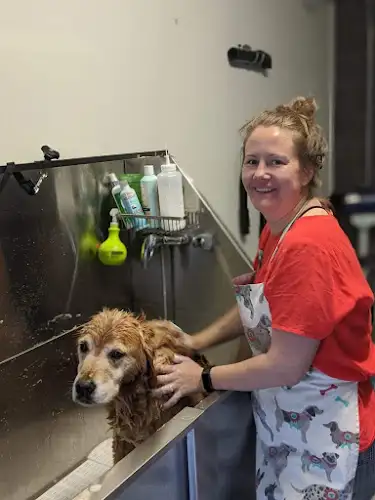 Salon Sebastian - Pet Groomer in Brunswick