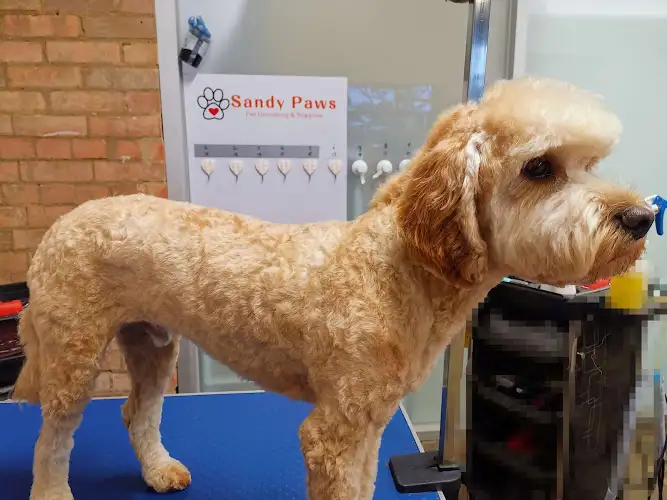 Sandy Paws Dog Grooming Reservoir - Pet Groomer in Reservoir