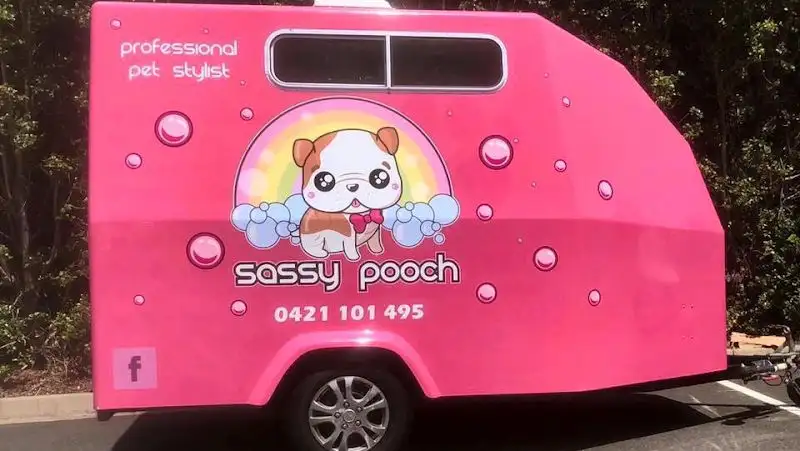 Sassy Pooch Dog Grooming Peregian Beach - Pet Groomer in Point Arkwright
