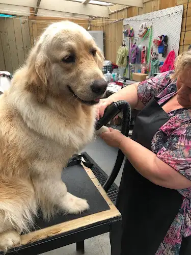 Scaly Wagg's Scissors "N" Suds - Pet Groomer in Traralgon