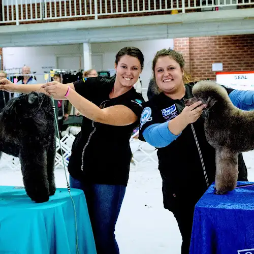 Show Stoppers Luxury Dog Grooming Salon - Pet Groomer in Victoria Point