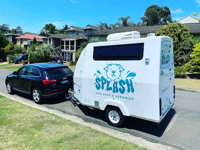 Splash Dog Wash & Grooming - Pet Groomer in Engadine