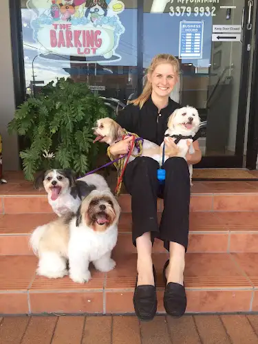 The Barking Lot - Pet Groomer in Graceville
