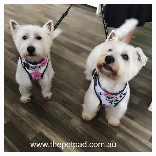 The Pet Pad - Pet Groomer in Newstead