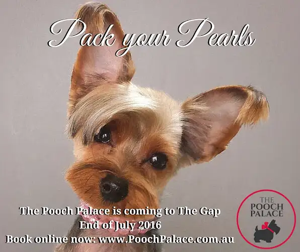 The Pooch Palace - Pet Groomer in The Gap
