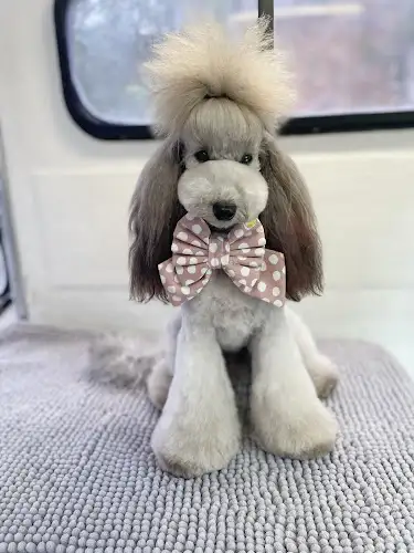 The Pup Spa Grooming Salon - Pet Groomer in Bonnet Bay
