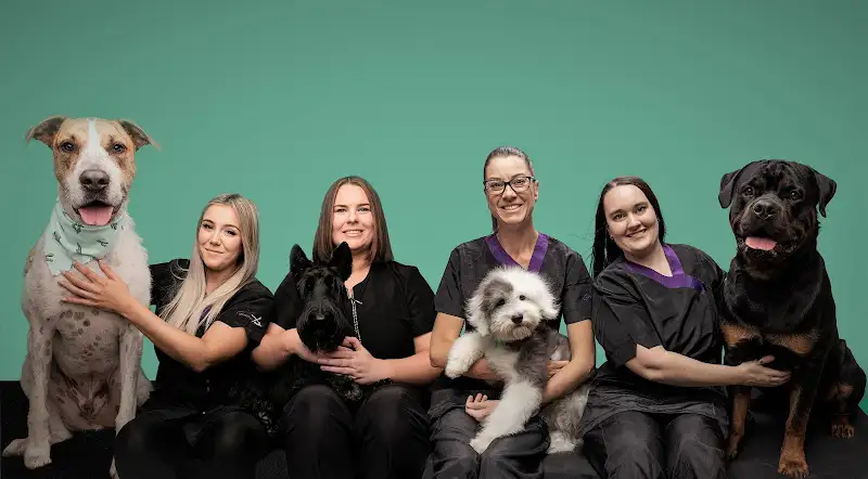 Urban Tails Dog Grooming Salon - Pet Groomer in Bradbury