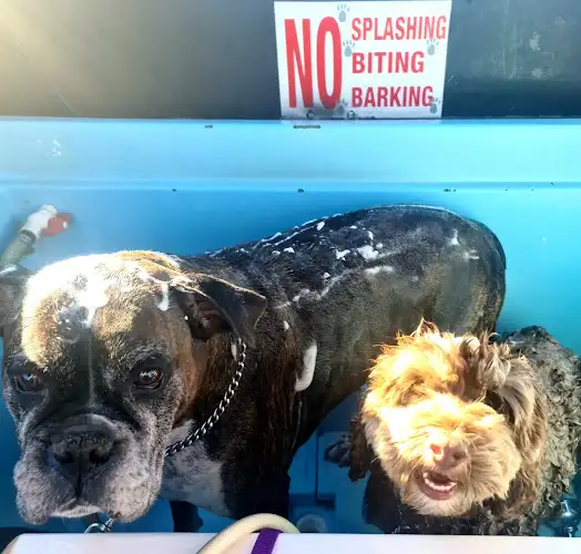 Wash 'n' Walk - Pet Groomer in Appin